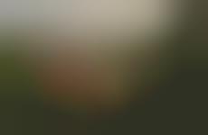 Dead Corpse Photography