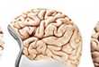 Brainy Bike Helmets