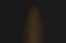 Gilded Adult Toys