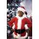 Grinch Christmas Tree - Santa Claws is Back in Town (VIDEO) 2