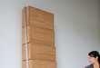 Bookshelf Staircase Hybrids