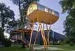 Top 50 Eco Trends in December 2010